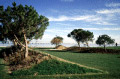 [ Stadtpack tejo und tranc�o ]